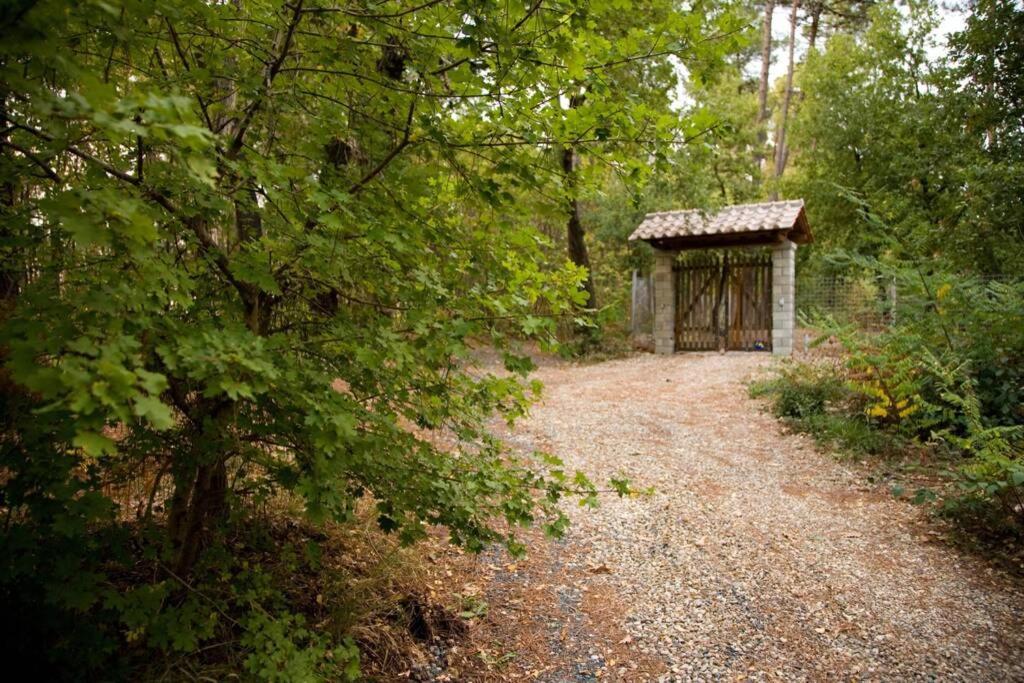 Villa Liz Tuscany, Private Pool, Hot Tub, Property Fenced, Pets Allowed Попи Екстериор снимка