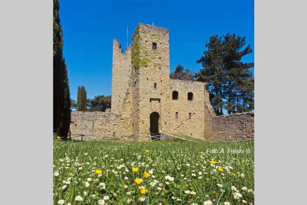 Villa Liz Tuscany, Private Pool, Hot Tub, Property Fenced, Pets Allowed Попи Екстериор снимка