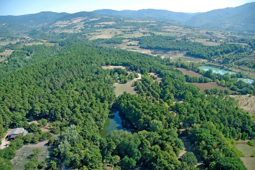 Villa Liz Tuscany, Private Pool, Hot Tub, Property Fenced, Pets Allowed Попи Екстериор снимка