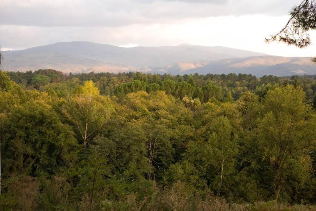 Villa Liz Tuscany, Private Pool, Hot Tub, Property Fenced, Pets Allowed Попи Екстериор снимка